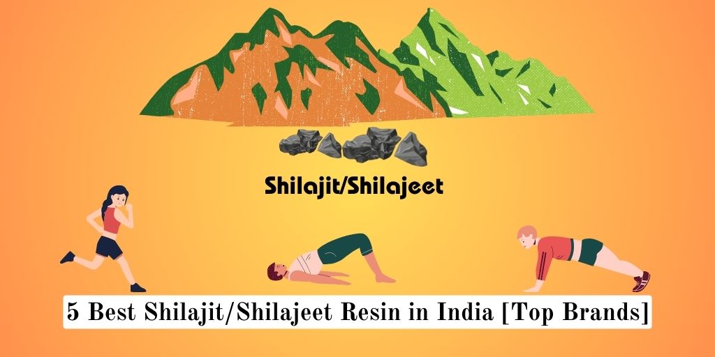 5 Best Shilajit Resins in India